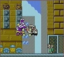 Wario Land 3