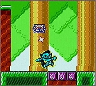 Wario Land 3