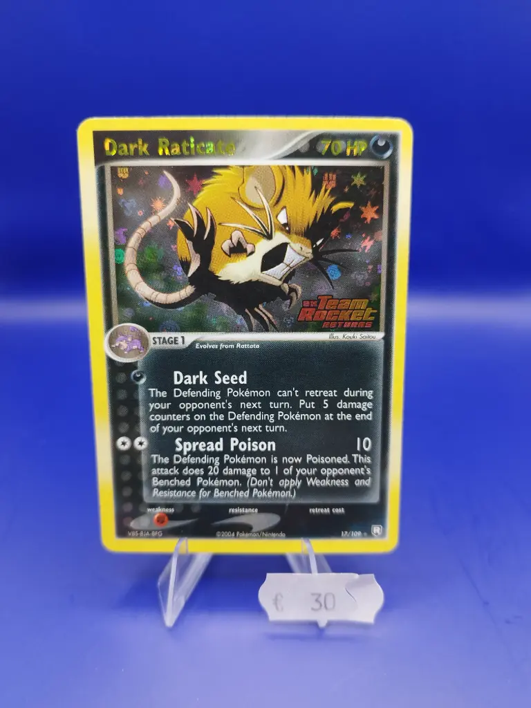 Dark Raticate 17